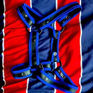 Rough trade harness!!